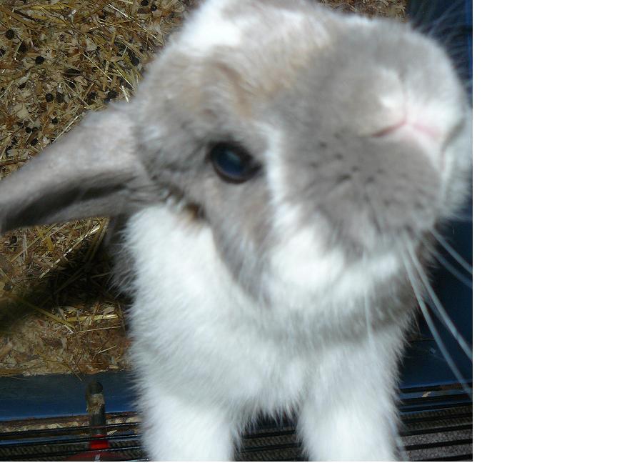 Ik heb het reuze goed :D