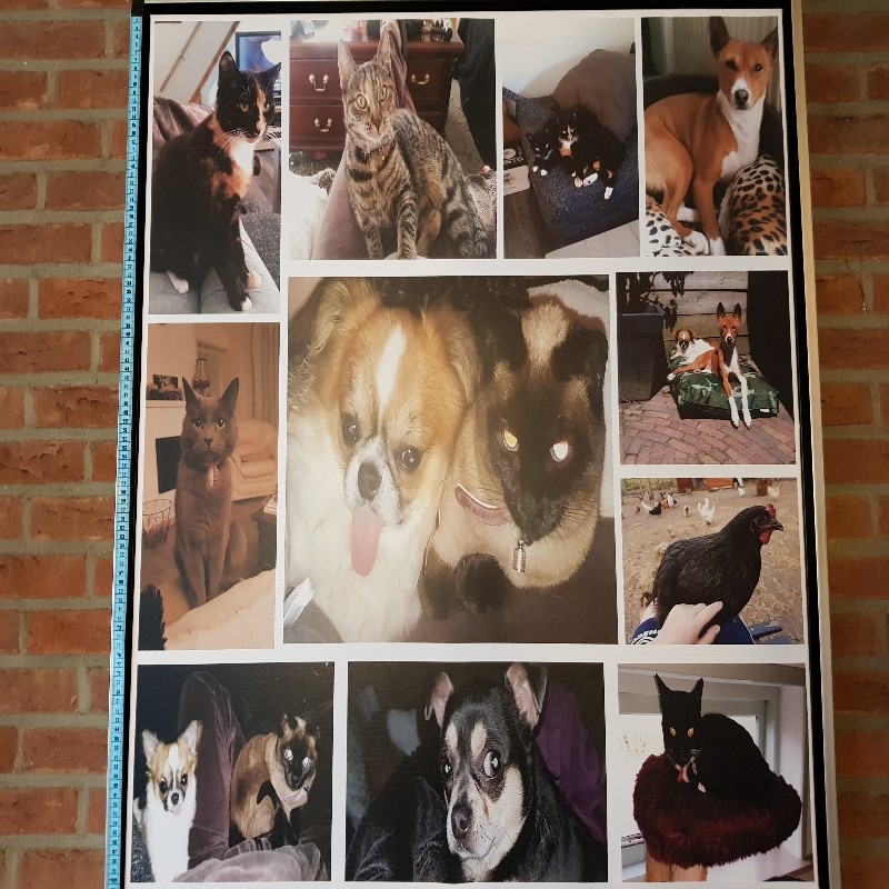 Dit is mijn canvas en een meetlint voordat jullie daar ook nog eens over gaan miepen. Hier staan foto's op die 4 jaar voor onze trouwfoto's gemaakt zijn, met een slechte telefooncamera.