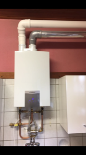 Geiser 1 IMG_6149.PNG