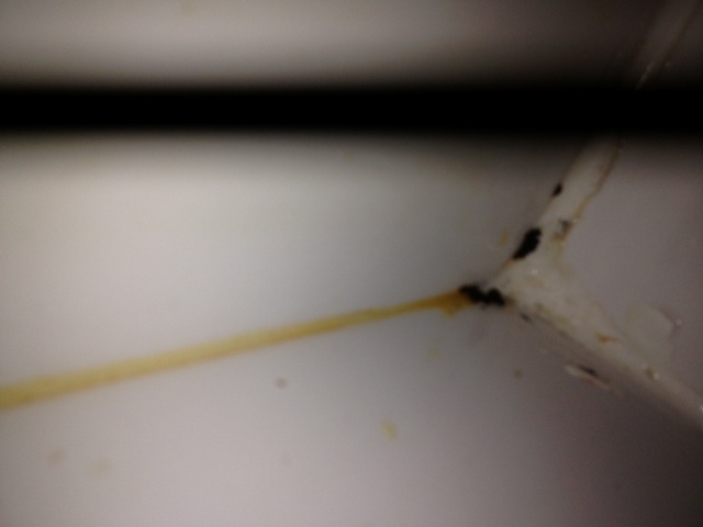 doekje misschien.JPG